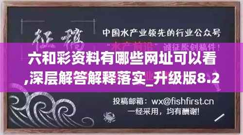 六和彩资料有哪些网址可以看,深层解答解释落实_升级版8.236