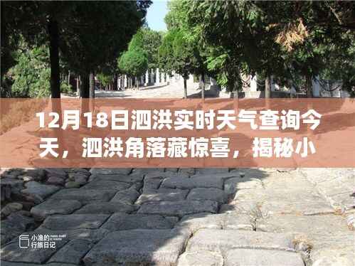 揭秘泗洪角落特色小店与实时天气魅力,12月18日泗洪今日天气详解