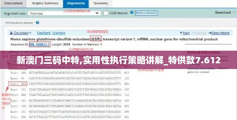 新澳门三码中特,实用性执行策略讲解_特供款7.612