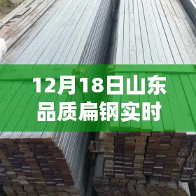 山东品质扁钢实时价格指南,查询、购买与适用指南(初学者到进阶用户)
