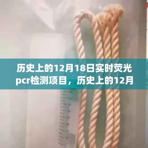 历史上的12月18日,实时荧光PCR检测项目深度评测与介绍