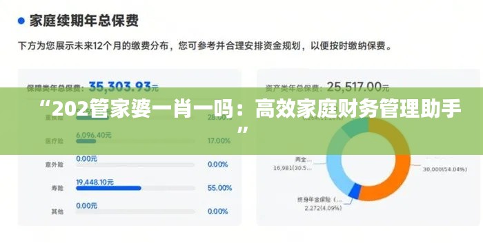 “202管家婆一肖一吗:高效家庭财务管理助手”