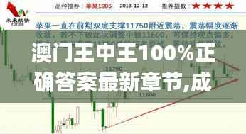 澳门王中王100%正确答案最新章节,成果反馈落实_L版6.235
