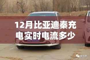 揭秘比亚迪秦充电真相,实时电流正常范围与判断方法指南