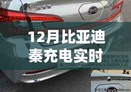 揭秘比亚迪秦充电真相,实时电流正常范围与判断方法指南