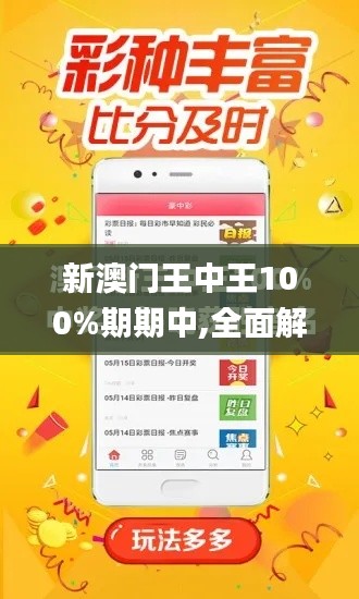 新澳门王中王100%期期中,全面解析与深度体验_静态版110.296