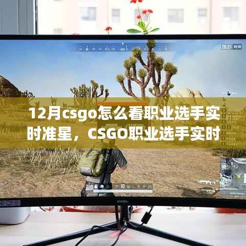 12月赛场内外焦点,CSGO职业选手实时准星探析