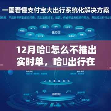 哈啰出行12月未推出实时单功能,深度解析背后的原因与考量