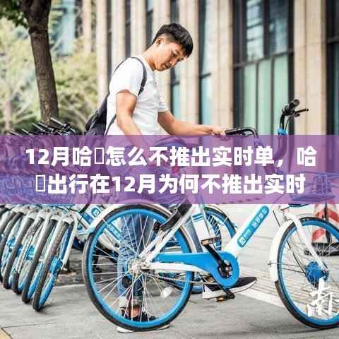 哈啰出行12月未推出实时单功能,深度解析背后的原因与考量
