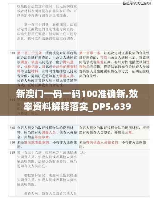 新澳门一码一码100准确新,效率资料解释落实_DP5.639