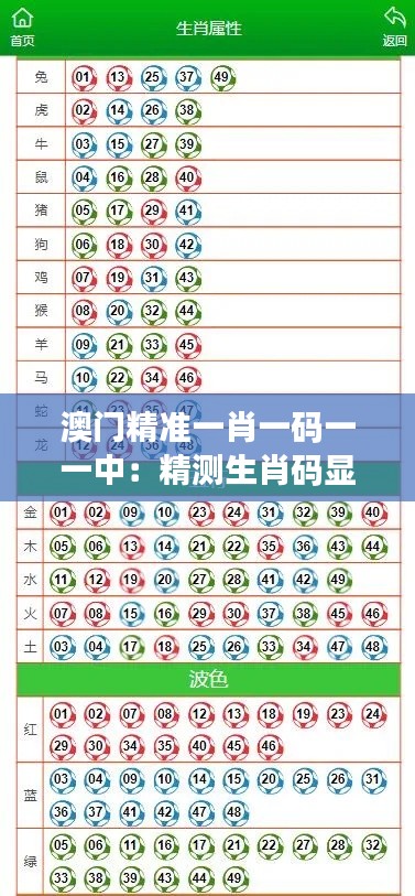 澳门精准一肖一码一一中:精测生肖码显神通