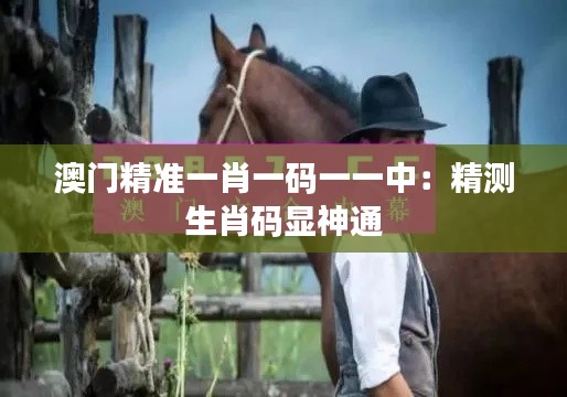 澳门精准一肖一码一一中:精测生肖码显神通