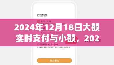 探析大额实时支付与小额支付系统在2024年的发展及其影响