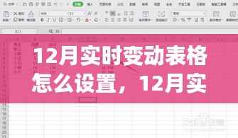 全面解析,12月实时变动表格设置——特性、体验、竞品对比及用户群体分析