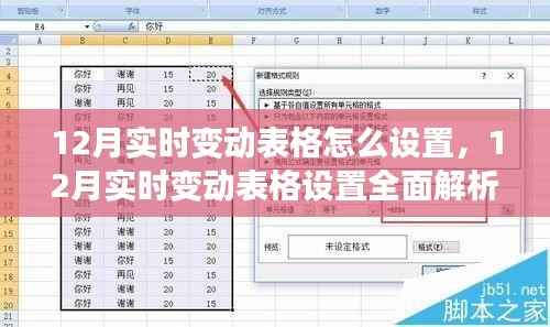 全面解析,12月实时变动表格设置——特性、体验、竞品对比及用户群体分析