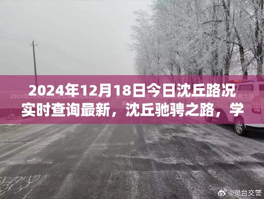 沈丘路况实时更新,驰骋之路铸就自信与成就,共同前行于2024年之路