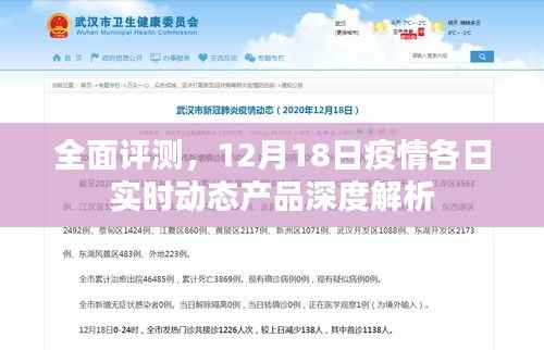 全面评测,深度解析疫情实时动态产品,12月18日实时动态报告