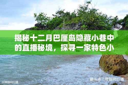 探寻巴厘岛隐藏小巷的直播秘境,一家特色小店的魅力之旅