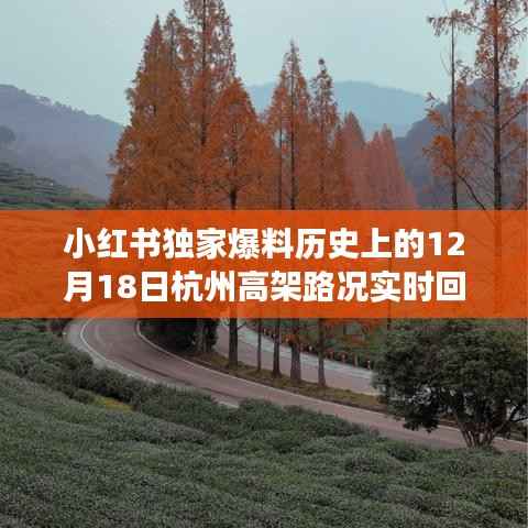 小红书独家揭秘,历史上的杭州高架路况回顾,亲历者讲述真实经历!