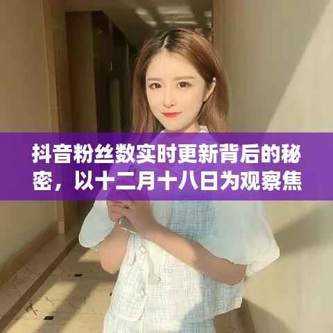 抖音粉丝数实时更新背后的秘密,以十二月十八日为观察日揭秘真相