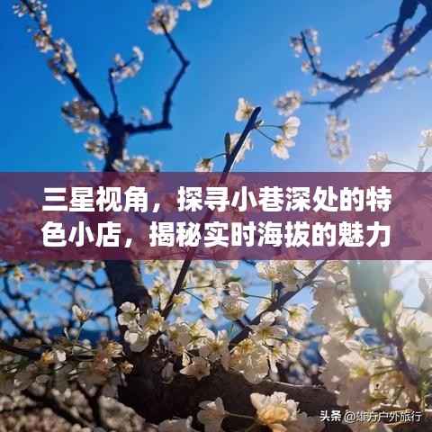三星视角,探寻小巷深处的特色小店与实时海拔的魅力之旅揭秘