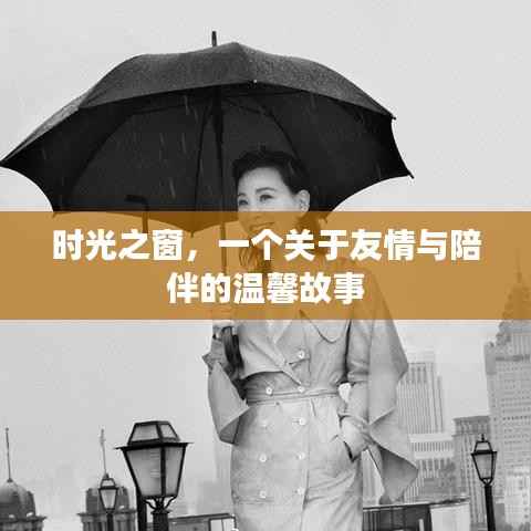 时光之窗,友情与陪伴的温馨篇章