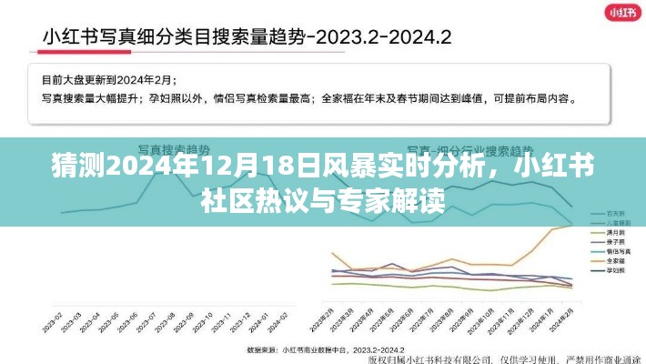 小红书热议揭秘,2024年风暴实时分析专家解读来袭!
