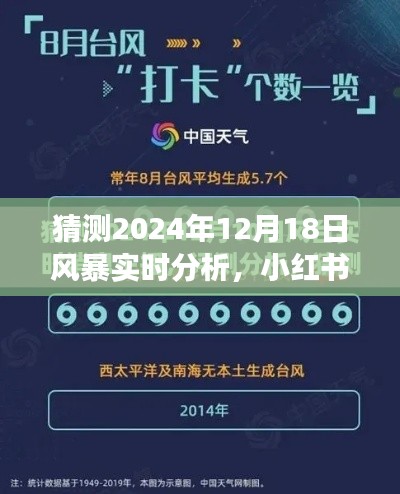 小红书热议揭秘,2024年风暴实时分析专家解读来袭!