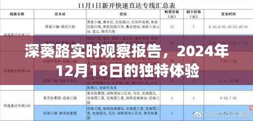 深葵路独特体验观察报告,实时记录与体验分享(2024年12月18日)