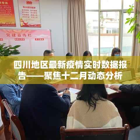 四川地区十二月疫情实时数据报告,聚焦最新动态分析