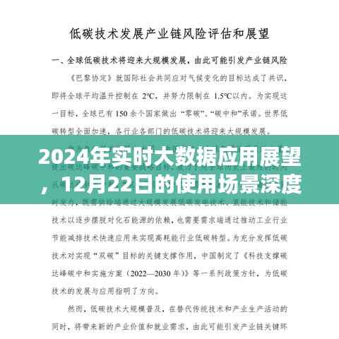 2024年实时大数据应用展望,深度解析12月22日使用场景