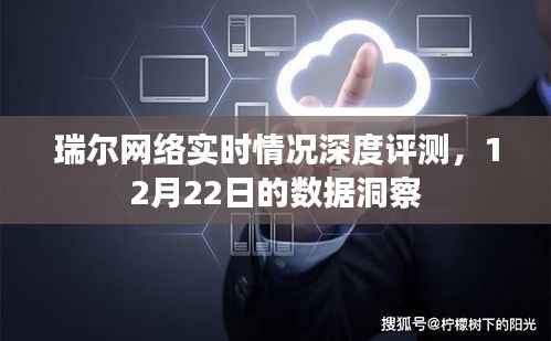 瑞尔网络实时情况深度评测报告,12月22日数据洞察分析