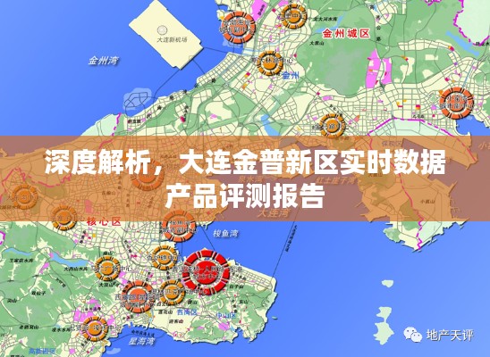 大连金普新区实时数据产品深度评测报告