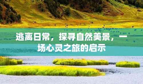 逃离日常喧嚣，探寻自然美景的心灵之旅启示
