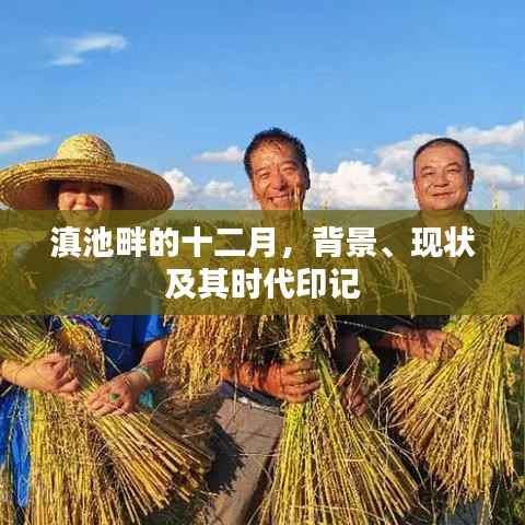 滇池畔的十二月,背景、现状与时代印记