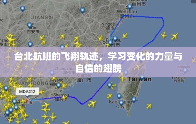 台北航班,飞翔轨迹揭示变化力量与自信翅膀