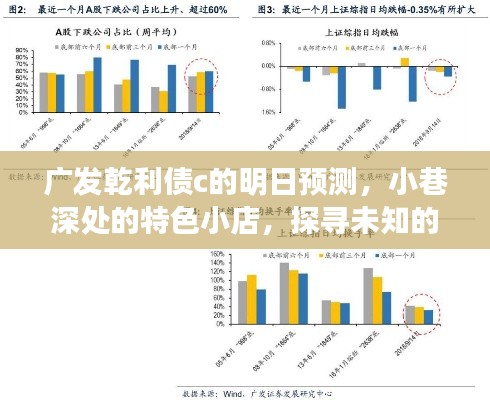 广发乾利债c明日预测与小巷特色小店探寻,金融宝藏之旅启程!