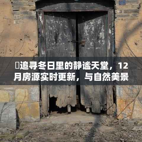 追寻冬日静谧天堂,实时更新房源,与自然美景共舞的生活