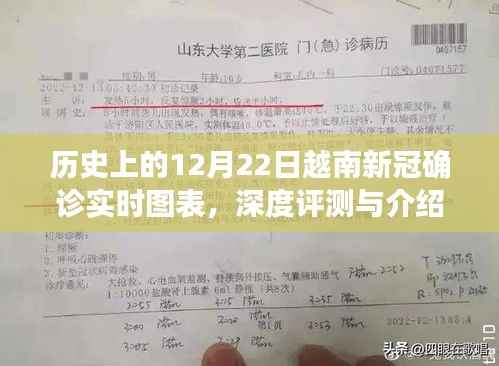 历史上的12月22日越南新冠确诊实时图表,深度分析与介绍