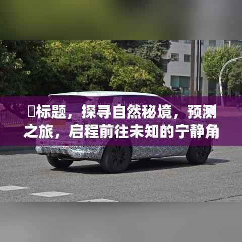 探寻自然秘境,启程未知角落的预测之旅——PTA实时行情下载背后的故事