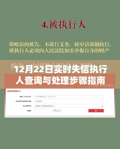 初学者与进阶用户适用的失信执行人查询处理指南,12月22日实时操作指南