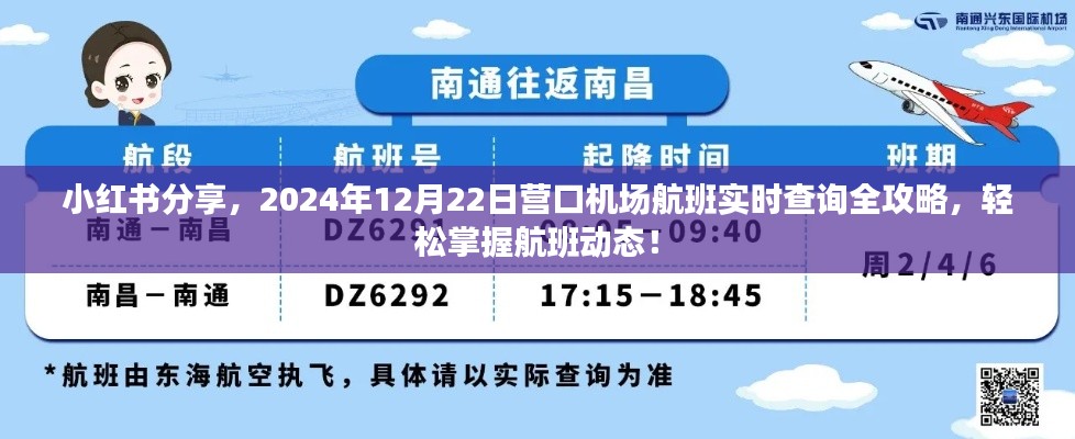 小红书分享,营口机场航班实时查询全攻略,轻松掌握航班动态(2024年12月22日)
