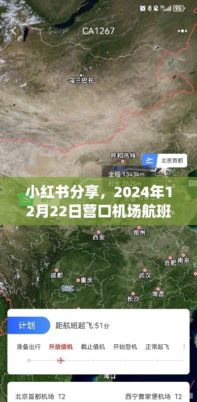 小红书分享,营口机场航班实时查询全攻略,轻松掌握航班动态(2024年12月22日)