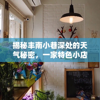 丰南小巷特色小店的天气魅力与天气预报的奇妙邂逅