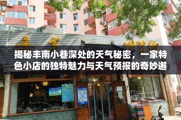 丰南小巷特色小店的天气魅力与天气预报的奇妙邂逅