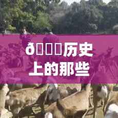 揭秘十二月二十二日的历史特殊日子与疫情查询软件内幕