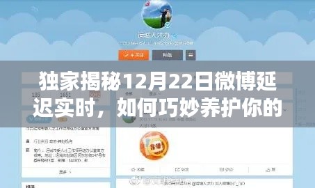 独家解析,微博延迟实时背后的秘密,教你如何巧妙提升微博热度!