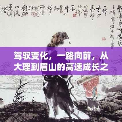 从大理到眉山,驾驭变化的高速成长之旅