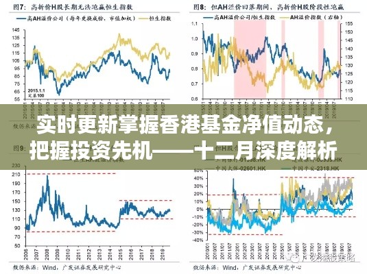 实时掌握香港基金净值动态,深度解析十二月香港基金投资走势与把握先机