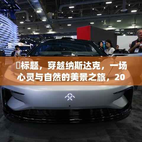 穿越纳斯达克的心灵与自然美景之旅,微妙猜想下的奇妙探险(2024年12月22日)